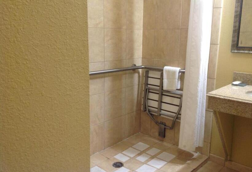 Номер Deluxe Адаптированный для Инвалидов, La Quinta By Wyndham Vicksburg