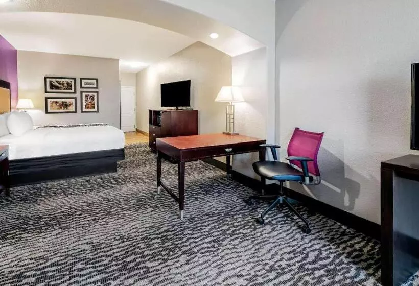 身障者適用キングサイズベッドルーム, La Quinta By Wyndham Dfw Airport West   Bedford