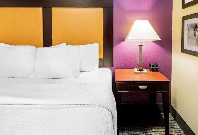 身障者適用スイートルーム, La Quinta By Wyndham Dfw Airport West   Bedford