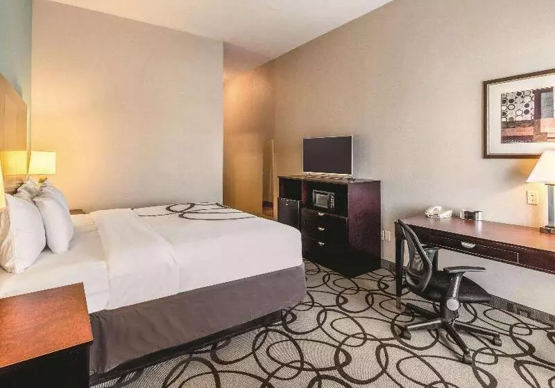 キングサイズベッドのスタンダードルーム, La Quinta By Wyndham Fort Worth   Lake Worth