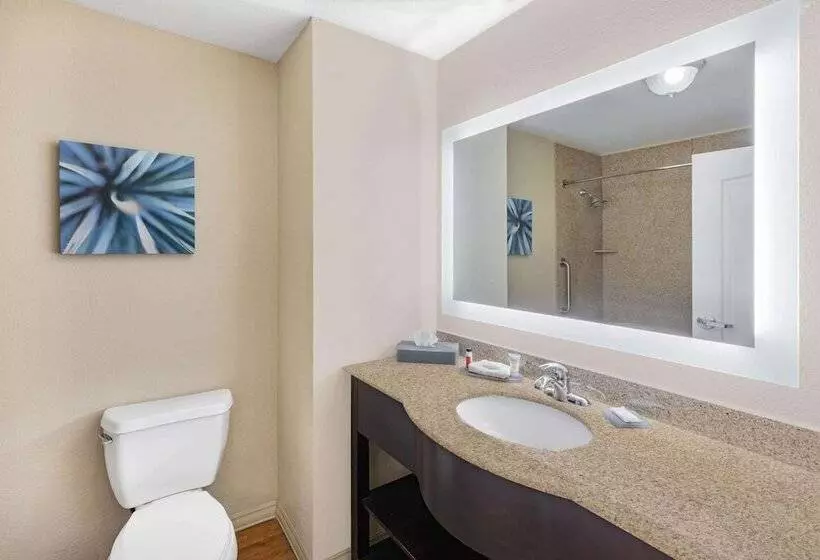 デラックススイート, La Quinta By Wyndham Garland Harbor Point