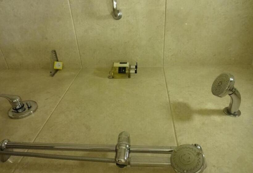 Номер бизнес-класса, Lemon Tree Premier  Hitec City  Hyderabad