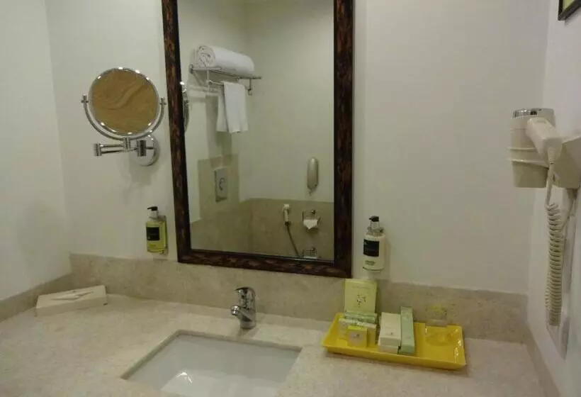 ビジネスルーム, Lemon Tree Premier  Hitec City  Hyderabad