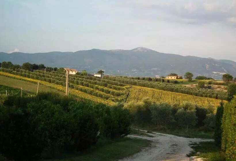 スタンダードルーム, Marco & Andrea Agriturismo