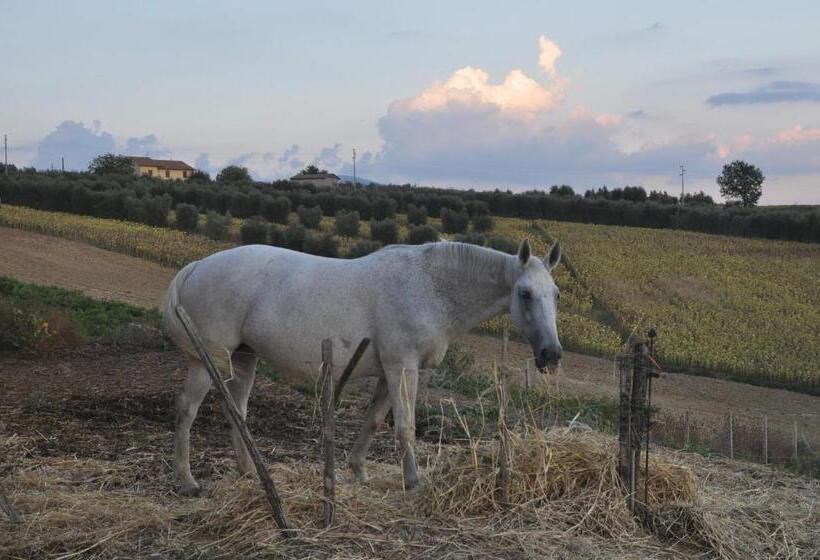 Номер Стандарт Трехместный, Marco & Andrea Agriturismo