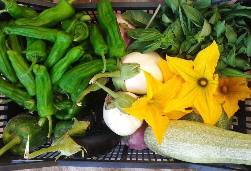 Номер Стандарт Трехместный, Marco & Andrea Agriturismo