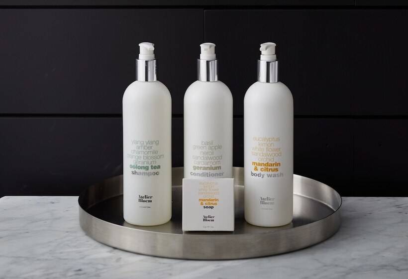 Люкс с Террасой, Archer Hotel Old Town Alexandria