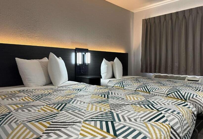 スタンダード4人部屋, Motel 6 Bradenton, Fl