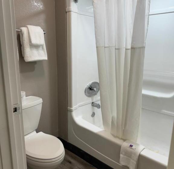 デラックスルーム, Motel 6 Bradenton, Fl