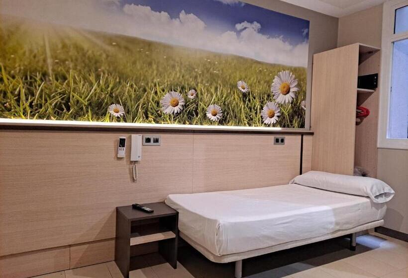 اتاق استاندارد یک نفره, Hostal Las Flores Ramblas