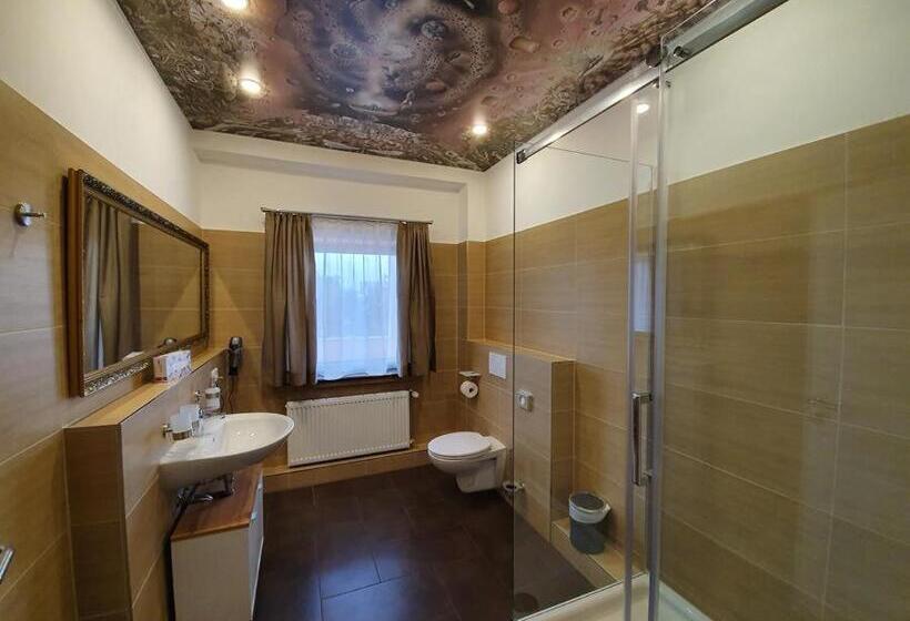 اتاق سوپریور, Arthotel Bremen