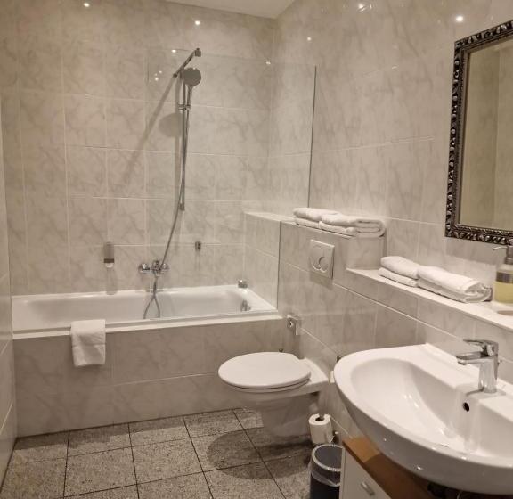 اتاق سوپریور, Arthotel Bremen