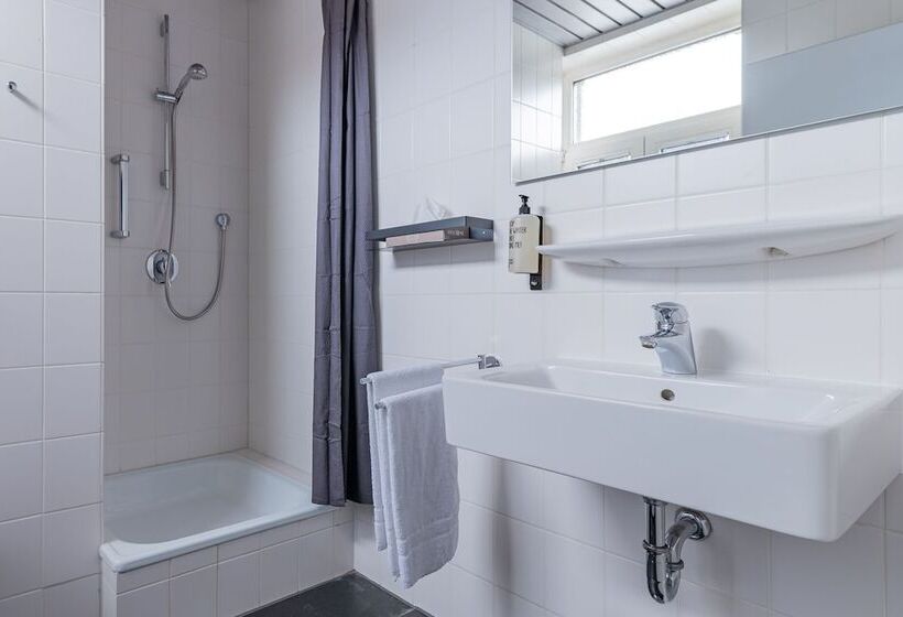 غرفة قياسية, Boutique Hotel Societe