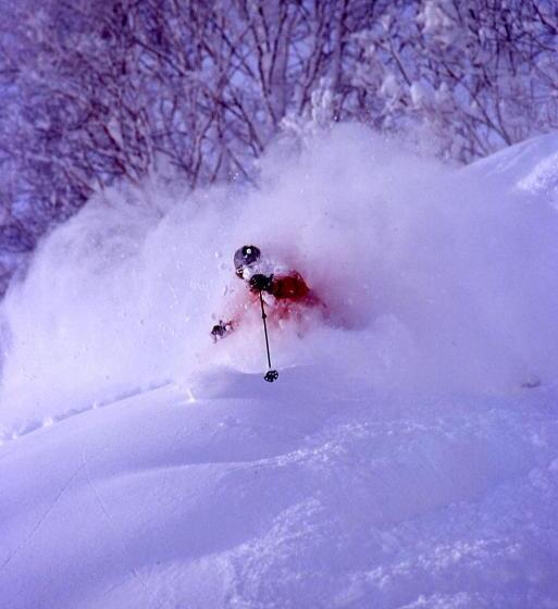 高级大房间, Kanronomori