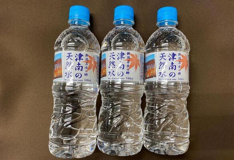 غرفة قياسية, New Greenpia Tsunan