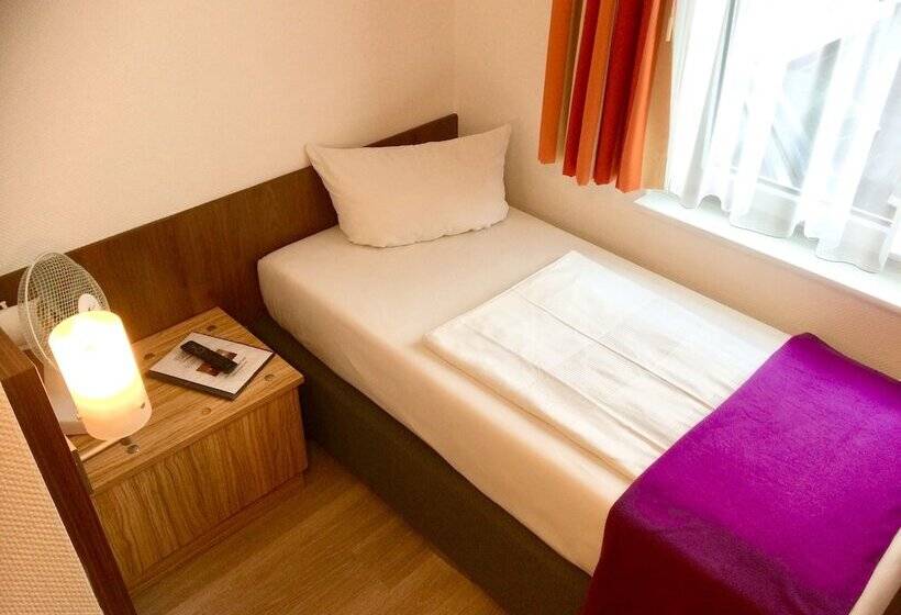 스탠다드 싱글 룸, Triton