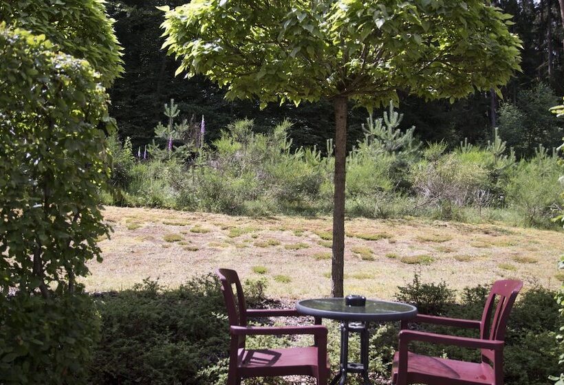 غرفة سوبيريور فردية, Waldidyll Rabenhorst