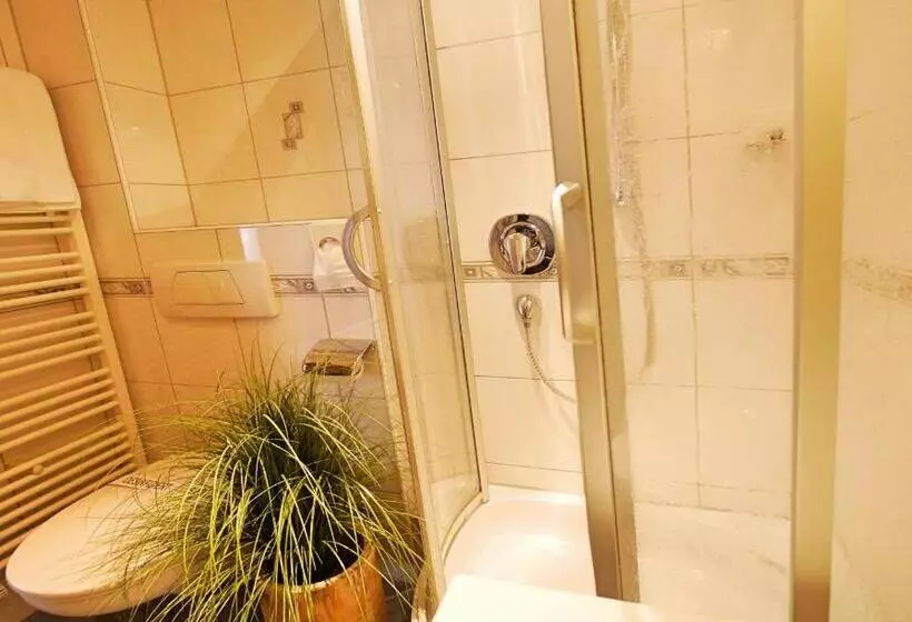 Economy Yhden Hengen Huone, Kohlers Hotel Engel