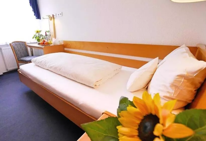Economy Yhden Hengen Huone, Kohlers Hotel Engel