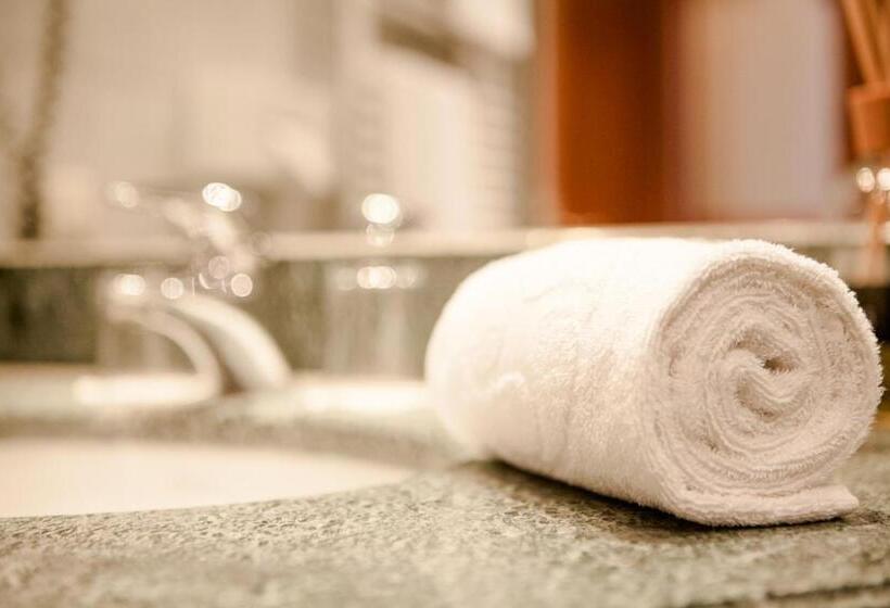 シングルデラックスルーム, Schlosshotel Grünwald