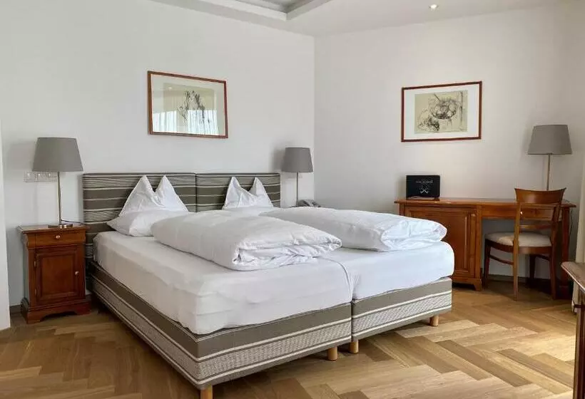 Standard-huone Terassi, Boutique Hotel Aichinger