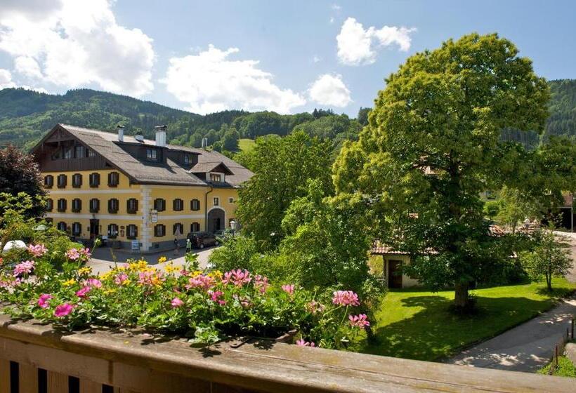 スタンダードルーム, Boutique Hotel Aichinger