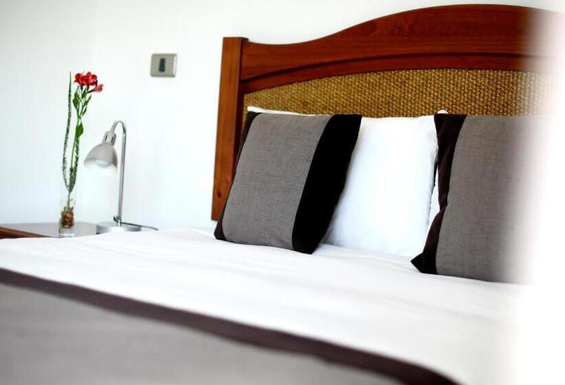 带1个卧室的行政公寓, Versalles Suites