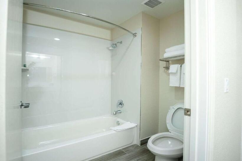 带大床的标准间, Best Western Houston Bush Iah Intercontinental Airport Inn