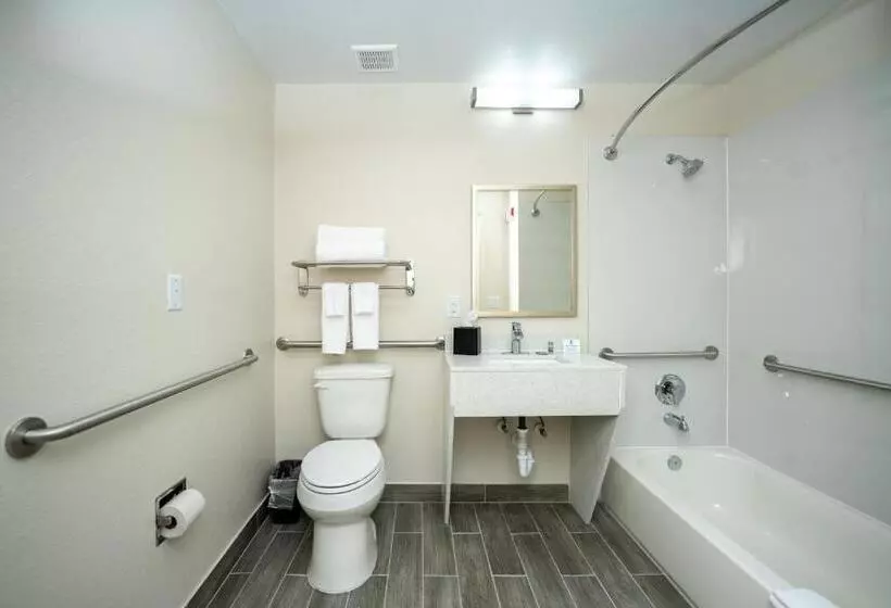 اتاق استاندارد برای معلولان, Best Western Houston Bush Iah Intercontinental Airport Inn