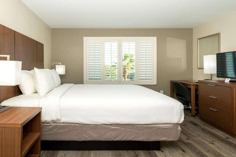 带大床的套房, Best Western Houston Bush Iah Intercontinental Airport Inn