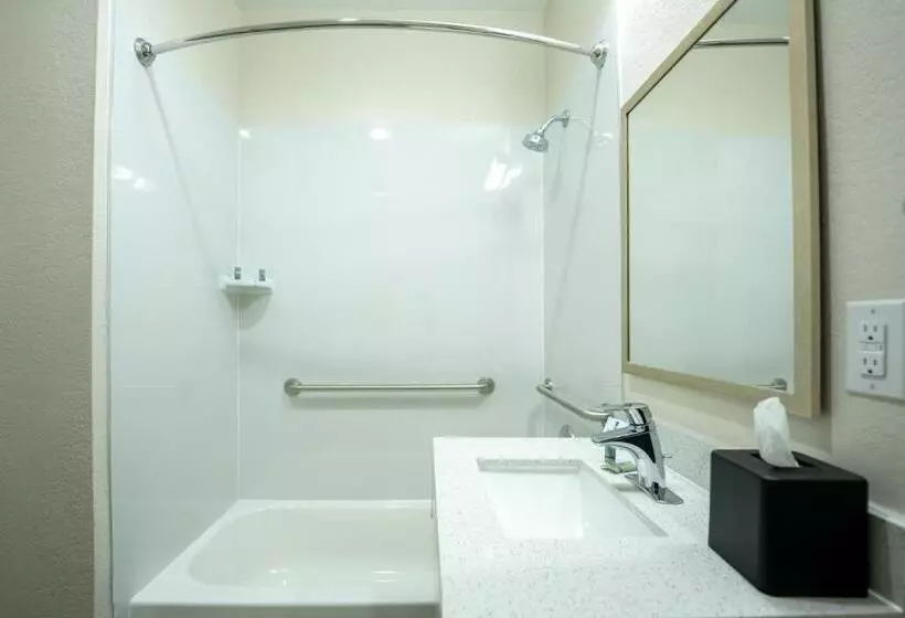 اتاق استاندارد با تخت بزرگ برای معلولان, Best Western Houston Bush Iah Intercontinental Airport Inn