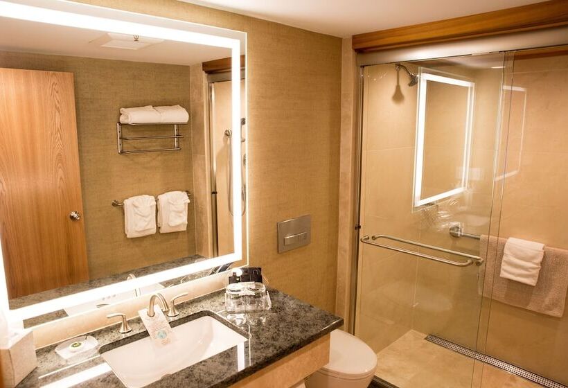 חדר דלוקס, Golden Arrow Lakeside Resort