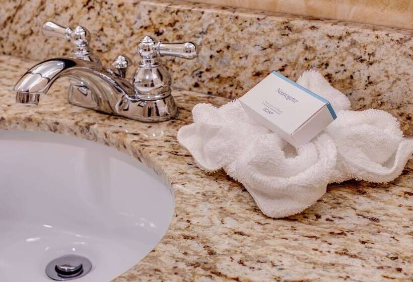 غرفة قياسية لذوى الاحتياجات الخاصة, Hilton Garden Inn Lakewood