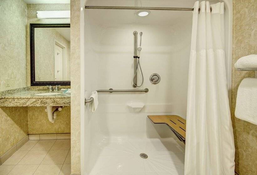 غرفة قياسية لذوى الاحتياجات الخاصة, Hilton Garden Inn Lakewood