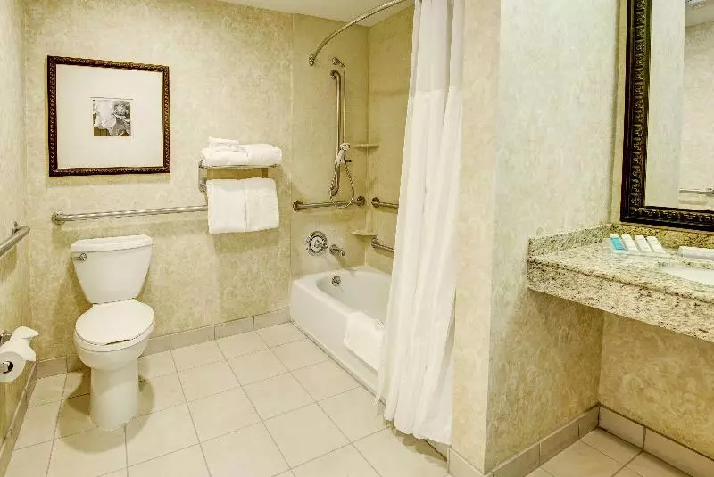 キングサイズベッドのスタンダードルーム, Hilton Garden Inn Lakewood