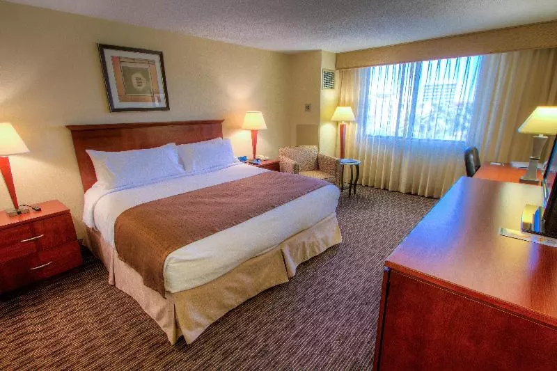 キングサイズベッドのエクゼクティブルーム, Holiday Inn Tampa Westshore   Airport Area, An Ihg