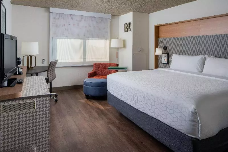 キングサイズベッドのスタンダードルーム, Holiday Inn Tampa Westshore   Airport Area, An Ihg