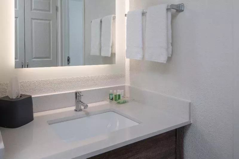 キングサイズベッドのスタンダードルーム, Holiday Inn Tampa Westshore   Airport Area, An Ihg