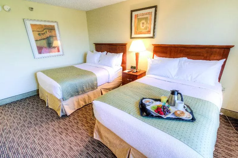 スタンダードルーム, Holiday Inn Tampa Westshore   Airport Area, An Ihg