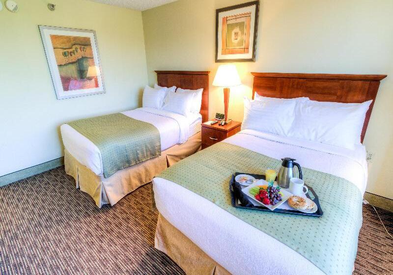 חדר סטנדרט, Holiday Inn Tampa Westshore   Airport Area, An Ihg