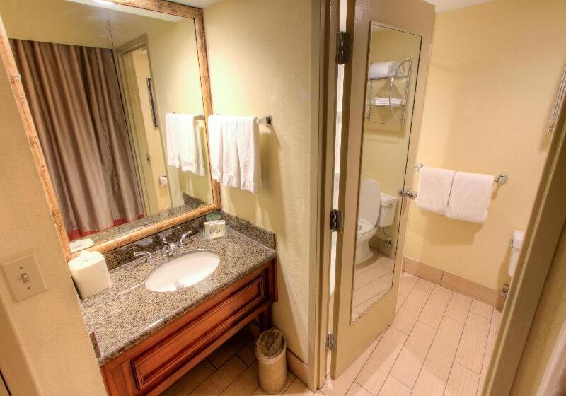 חדר סטנדרט, Holiday Inn Tampa Westshore   Airport Area, An Ihg