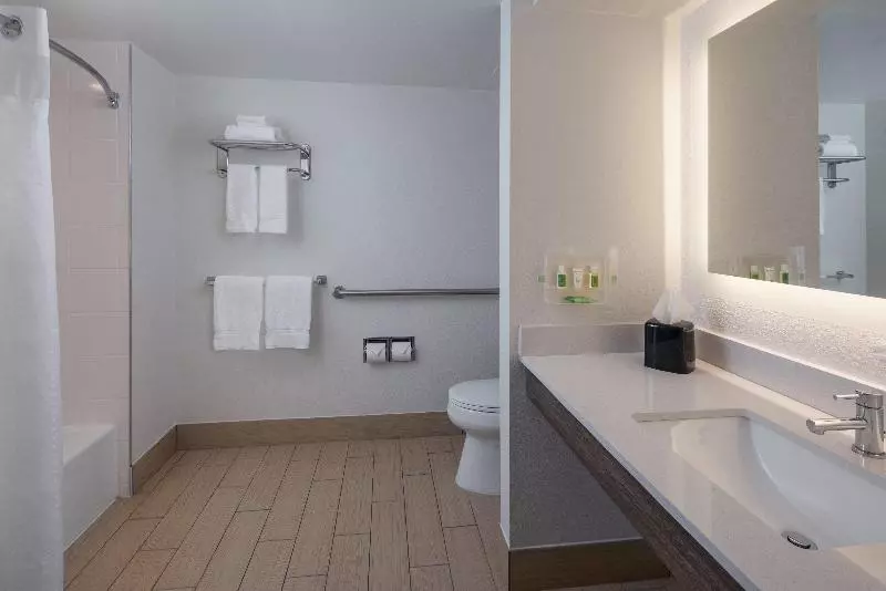 身障者適用キングサイズベッドルーム, Holiday Inn Tampa Westshore   Airport Area, An Ihg
