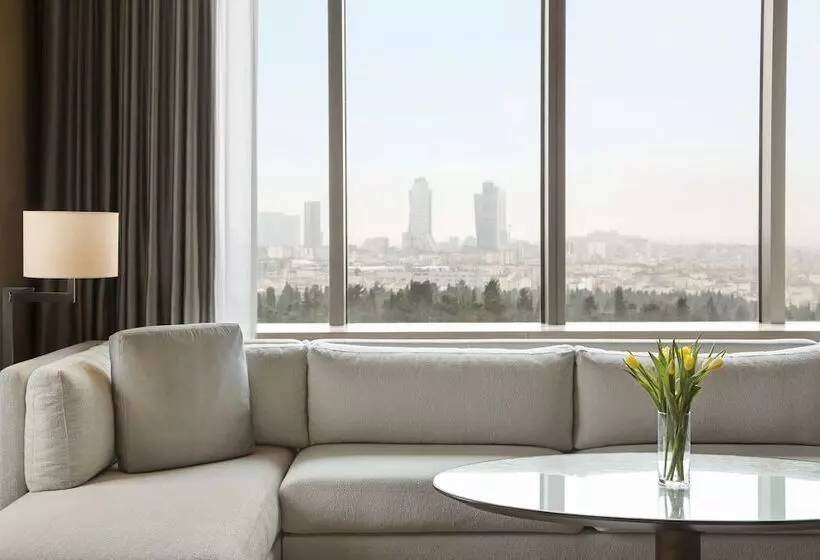 スイート, Hyatt Centric Levent Istanbul