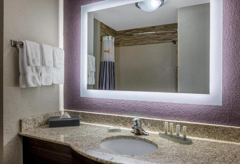 غرفة قياسية سرير كينج, La Quinta Inn & Suites By Wyndham Covington