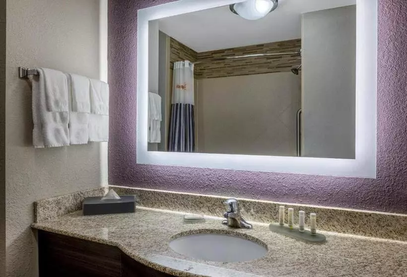 キングサイズベッドのスタンダードルーム, La Quinta Inn & Suites By Wyndham Covington