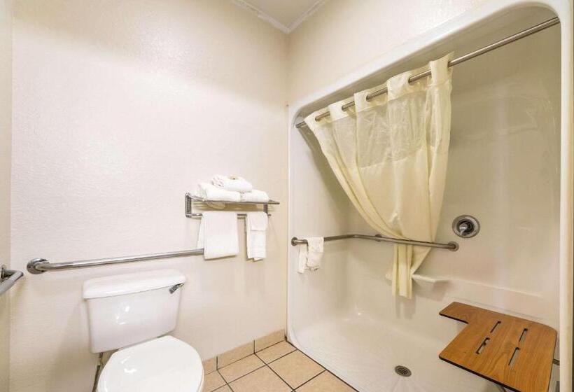 Mozgáskorlátozott Standard Szoba, Quality Suites