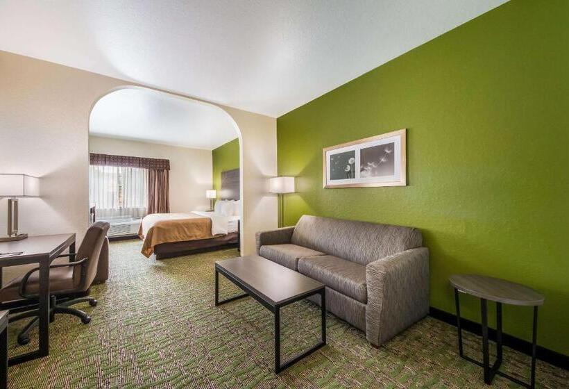 Quarto Estandar Individual para Deficientes Físicos, Quality Suites