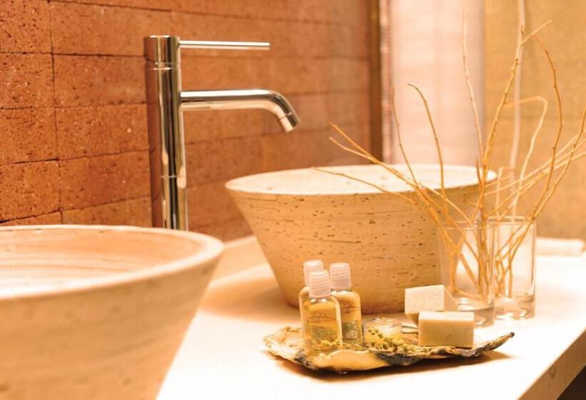 带大床的标准间, Nayara Alto Atacama