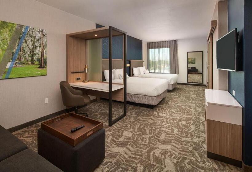 스위트, Springhill Suites By Marriott Winter Park