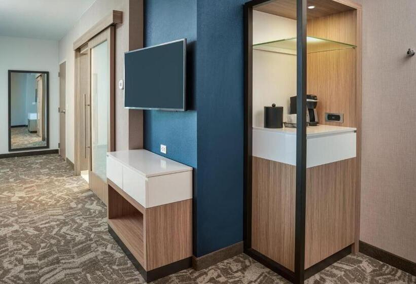 스위트 킹사이즈 침대, Springhill Suites By Marriott Winter Park